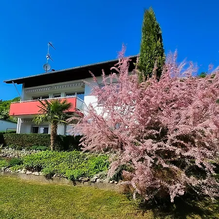 דירה Le Flacon - Ganze Mit Panorama-terrasse Hohentengen am Hochrhein