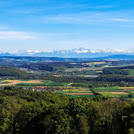 דירה Le Flacon - Ganze Mit Panorama-terrasse Hohentengen am Hochrhein